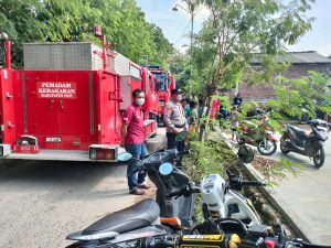 Diduga Korsleting Listrik Terjadi Tragedi Kambing Bakar di Sarimulyo.