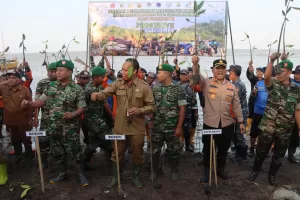 Sinergitas TNI-Polri, Kapolresta Pati Bersama Dandim 0718 Kompak Tanam 2000 Bibit Mangrove di Pesisir Pantai Banyutowo