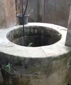 Ditemukan Mayat Mengapung di Sumur Tua Puri Pati