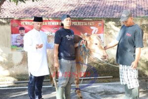 Distribusikan Daging Qurban Polri Presisi, Polresta Pati Gandeng Ponpes dan Panti Asuhan