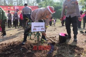 Kapolresta Pati Pimpin Penanaman 1000 Pohon di Desa Regaloh Tlogowungu