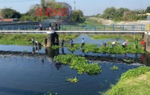 Pemdes Ploso Kudus Dan Warga Adakan Kegiatan Jumat Bersih di Sungai Tambak Lulang