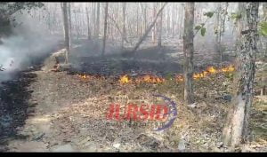 Kebakaran Lahan Pertanian di Perbatasan Desa Karangrejo Grogolsari Pucakwangi Pati
