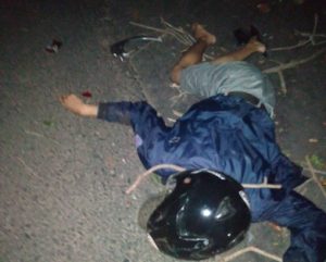 Ngerii!! Pohon Tumbang di Desa Padurenan Kudus, Tewaskan Pengguna Jalan