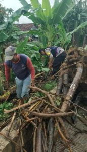 Aksi Kepedulian, Bhabinkamtibmas Polsek Margoyoso Kerja Bakti Bersama Warga Desa Binaannya