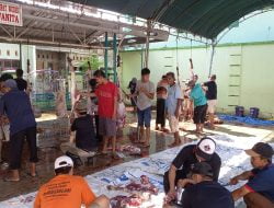 Panitia Hewan Kurban Masjid Besar Darussalam Jetak Kedungduwo Kudus Sembelih 6 Ekor Kerbau dan 25 Ekor Kambing