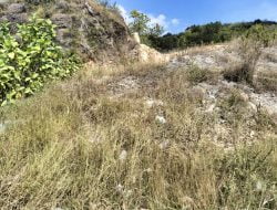 Diduga Tambang di Kecamatan Sukolilo Belum Berijin Bebas Beroperasi