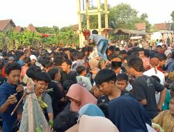 Ratusan Warga Berebut Nasi Berkah Dalam Kirab Budaya Sang Maestro Rumah Adat Kudus Joglo Pencu