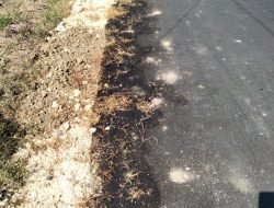 Proyek Aspal Jalan Desa Tompomulyo Batangan Dikerjakan Asal Asalan