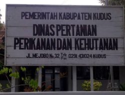 Menghadapi Krisis Pangan Dispertan Kudus Siapkan Berbagai Strategi Untuk Ketahanan Pangan