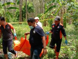 Ditemukan  Mayat Dalam  Hutan Regaloh KPH Tlogowungu