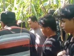 Gegerkan Warga di Kudus, Kerangka Manusia Ditemukan di Persawahan Tebu
