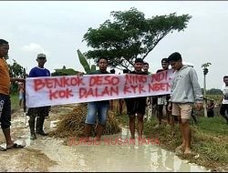 Ratusan Warga Desa SembungHarjo Tanami Jalan dengan Pisang dan Tabur Ikan Sebagai Bentuk Kekecewaan