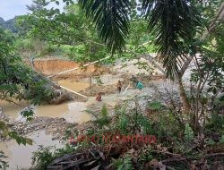 Ancaman Penambangan Emas Ilegal Terhadap Persawahan di Desa Rantau Alai, Merangin.