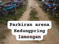 Viral….!!! Oknum Anggota Back Up 303 wilayah Kedungpring Lamongan