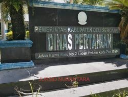 PLT Kabid Sarana dan Prasarana Diduga Sabotase Ketahanan Pangan Nasional di Batang Kuis