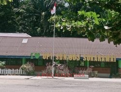 UPT SDN 003 Sukarami  Jual Sampul Ijazah Rp 50 Ribu, Kepala Sekolah: Itu Ulah Komite Tanpa Sepengetahuan Saya
