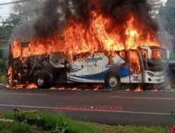 Bus Milik PO Haryanto Terbakar di Temanggung, Diduga Korsleting Mesin, Penumpang Selamat