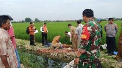 Seorang Lansia di Kudus Meninggal Dunia Diduga Tersengat Aliran Listrik Jebakan Tikus