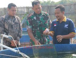 Dandim 0718/Pati Tinjau Pengembangan Mikroba PA 63 WD 05 untuk Budidaya Perikanan Bioflok di Kolam Milik Sarkawi