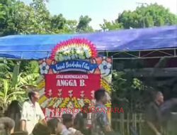 Sempat Diadu Dua Kali Sampai Tulang Tengkoraknya Retak