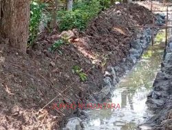 Proyek Optimasi Lahan Non Rawa di Desa Sidaurip Menjadi Sorotan Nasional