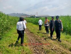 Seorang Petani di Desa Gondoharum Kudus Meninggal Dunia di Lahan Tebu, Diduga Kelelahan