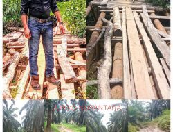 Kejahatan Terhadap Negara: Infrastruktur APBN Dibiarkan Mati, Hak Transmigran Dirampas Brutal