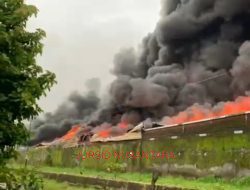 Pabrik Busa di Jepara di Lalap Si Jago Merah, Dua Pekerja Operasional Mesin Terluka Parah