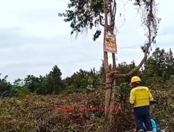 Lamban Tangani Kasus Dugaan Penyerobotan Lahan Hj. Muliati, Kinerja Polres Kolaka Jadi Sorotan