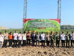 Ketua Komisi B DPRD Dorong Produktivitas Tanaman Jagung di Pati Selatan