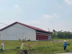 Dukung Swasembada Pangan Presiden Prabowo, DPRD Pati Dorong Kopdes Merah Putih Serap Hasil Panen Petani