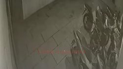 CCTV Rekam Aksi Maling Motor di Purwodadi, Pelaku Gagal di Beat Street Berhasil Bawa Kabur Verza