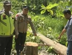 Pria di Grobogan Ditemukan Meninggal Tertimpa Pohon Jati di Kawasan Hutan