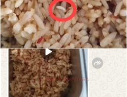 Nasi Goreng Diduga Tercemar Belatung, Program MBG di Kampar Disorot