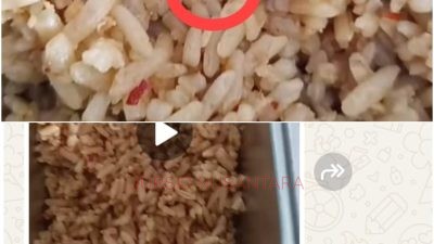 Nasi Goreng Diduga Tercemar Belatung, Program MBG di Kampar Disorot