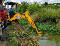 DPUTR Pati Tangani Eceng Gondok di Anak Sungai Selok Juwana untuk Cegah Banjir