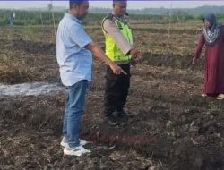 Tragis! Petani di Grobogan Ditemukan Meninggal Saat Gali Sumur di Sawah