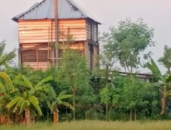Diduga Cemari Lingkungan dan Tak Berizin, Beberapa Warga Batursari Mengadu ke DLH Pati Desak Pabrik Arang Ditutup