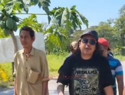 Warga Blora Kecewa, Protes Dengan Menanam Pohon Jalan Provinsi Jateng Yang Rusak